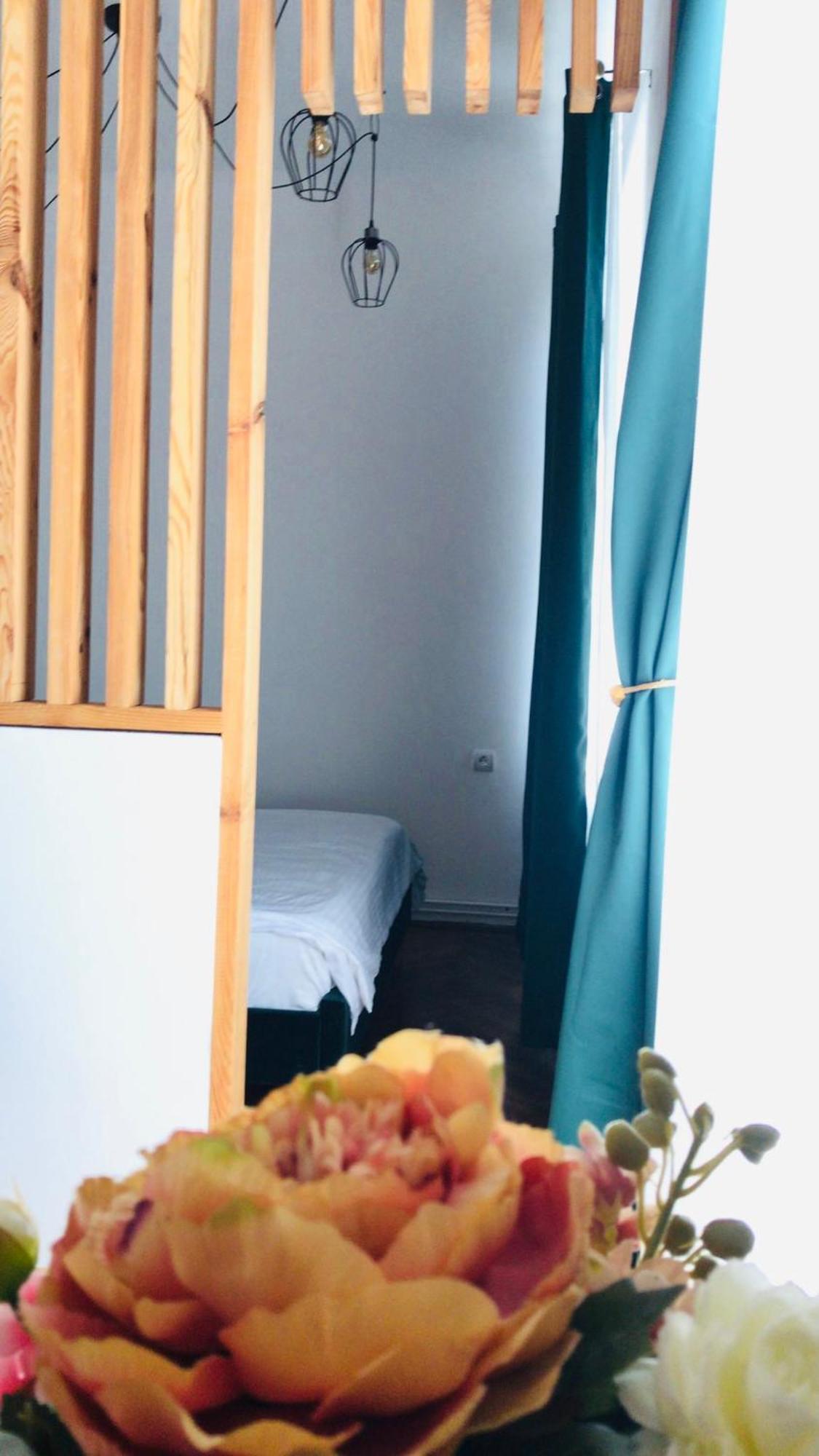 Joseph Hayn Apartments Sighisoara Luaran gambar